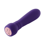 The FemmeFunn Booster Bullet vibrator in purple.